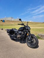 QJモーター SRV250A - 画像 (2)