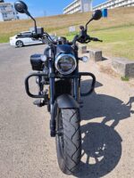 QJモーター SRV250A - 画像 (3)